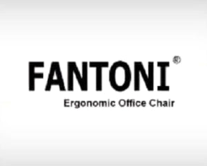 Collection image for: FANTONI