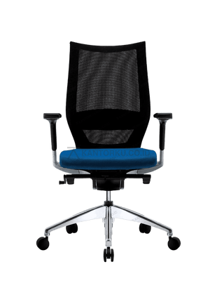 Kursi kerja Fortis FIRM dengan sandaran ergonomis dan dukungan lumbar. Tersedia di Kantorku