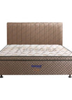 Hazel Choco / 100x200
