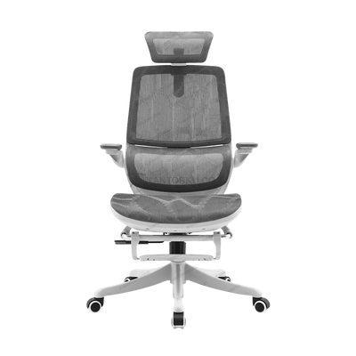 Kursi Kantor SIHOO M59AS 301 JT