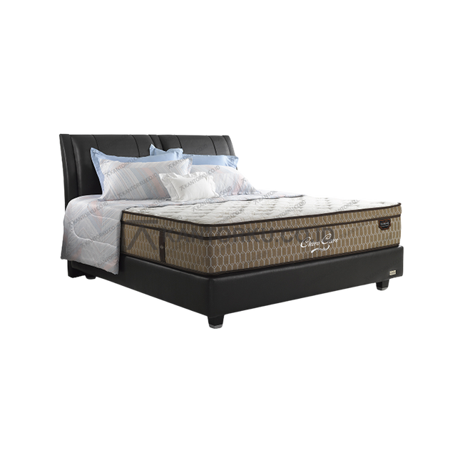 Florence Chiro Care Concerto premium mattress untuk kesehatan tulang belakang — kantorkudotcodotid
