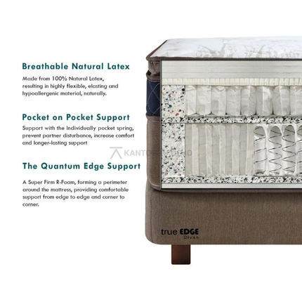 Spring Bed Quantum Maxwell Embassy Pocket on Pocket Spring modern