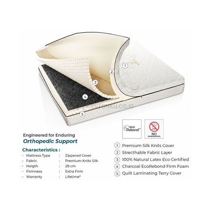 Spring Bed Quantum Maxwell Latex Orthopedic tanpa pegas premium