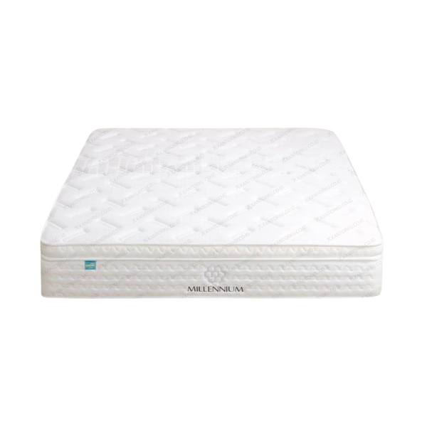 Kasur Springbed QUANTUM Millennium Concept | Mattress Only