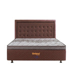 Hazel Choco / 100x200