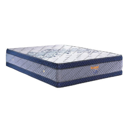 Tampilan busa density tinggi dan QR Ortho pada Paradise Double Plushtop KANTORKUDOTCODOTID
