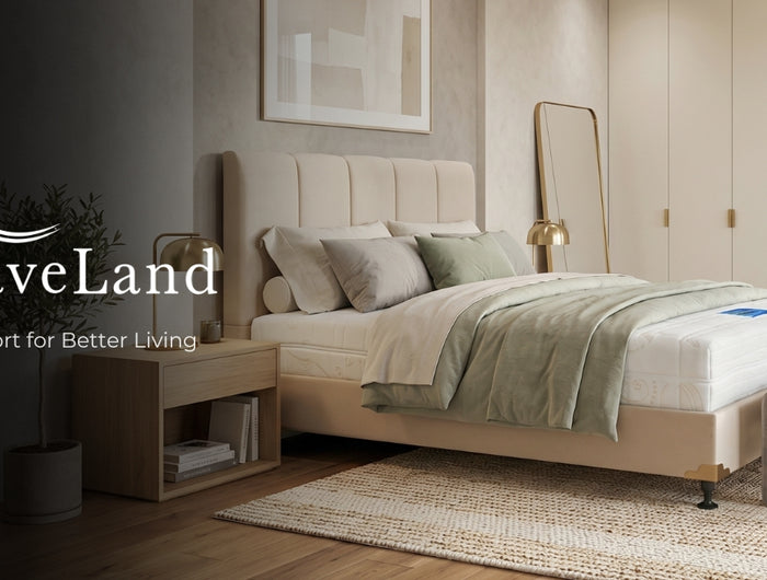 SAVELAND - KANTORKU