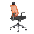 CUSTOM_CS09
