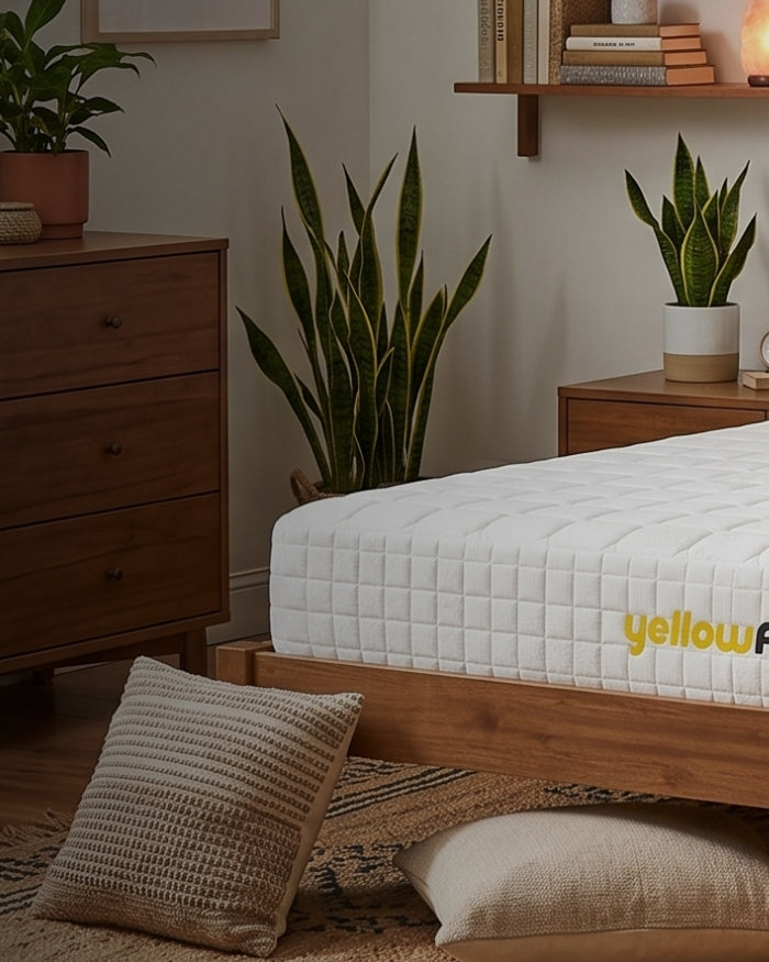 YELLOWFOAM KANTORKU JAKARTA